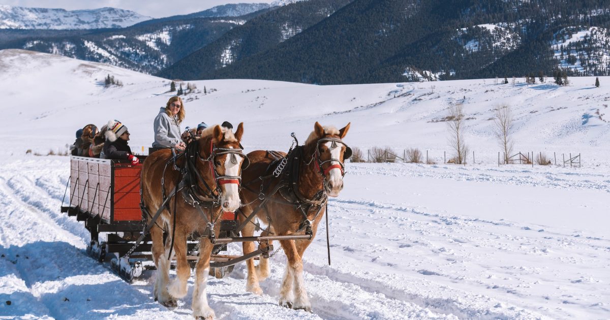 Guide to Sleigh Rides in Jackson Hole | Town Square Inns